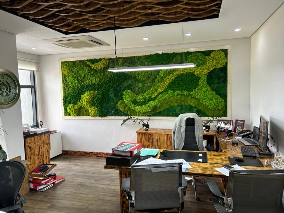 CEO Office NEXTARACOM